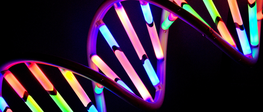 Fluorescent DNA helix design
